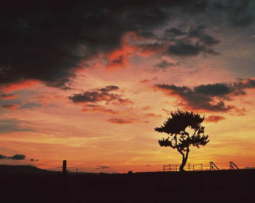  入江泰吉「奈良の世界遺産」展 入江泰吉記念奈良市写真美術館-1