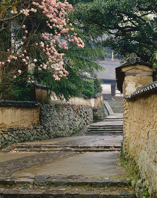 入江泰吉「奈良の世界遺産」展 入江泰吉記念奈良市写真美術館-4