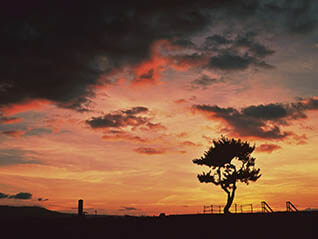  入江泰吉「奈良の世界遺産」展