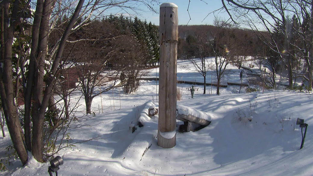 札幌美術展　砂澤ビッキ―風― 札幌芸術の森美術館-5