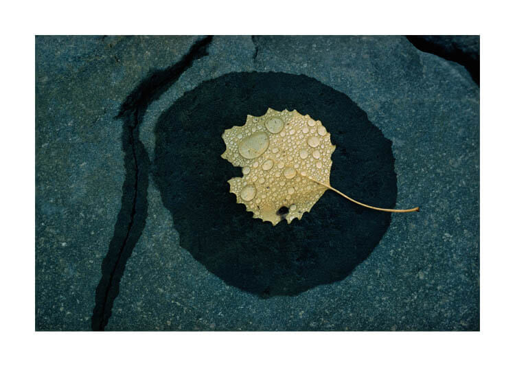 写真歴史博物館 企画写真展「色彩の聖域 エルンスト・ハース ザ・クリエイション」 FUJIFILM SQUARE（フジフイルム スクエア）-3