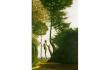 フランスの風景 樹をめぐる物語 －コローからモネ、ピサロ、マティスまで－ SOMPO美術館-1