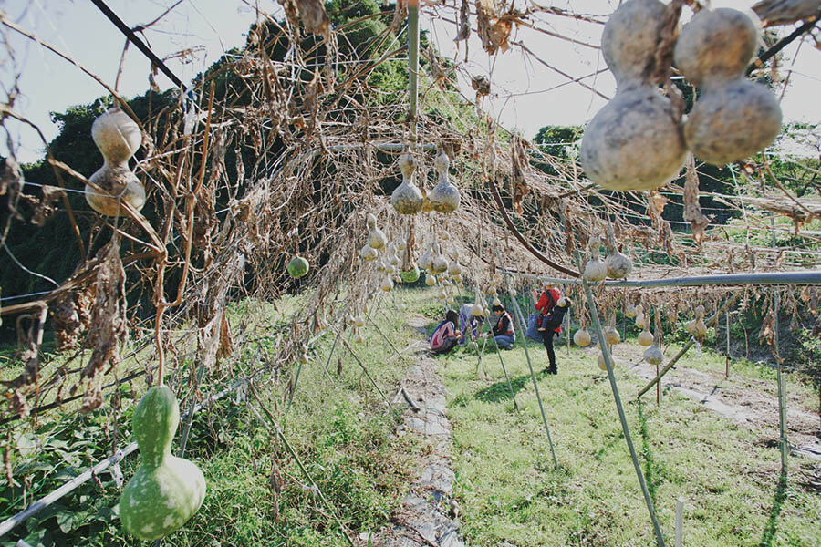 KAC Curatorial Research Program vol.01『逡巡のための風景』 京都芸術センター-3