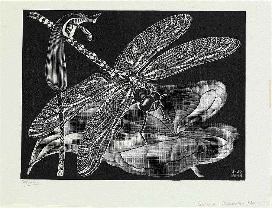 生誕120年 イスラエル博物館所蔵  ミラクル エッシャー展 福岡アジア美術館-8