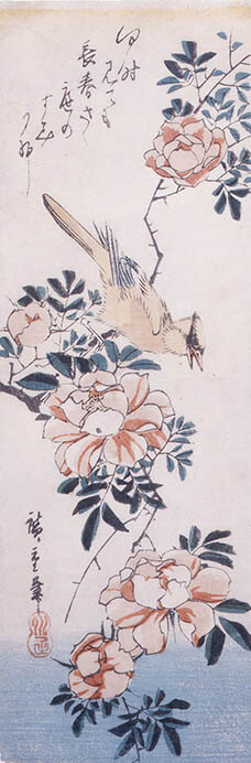 特別陳列 花鳥虫魚を描く−応挙・広重・シーボルト− 和泉市久保惣記念美術館-3