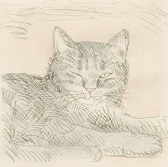 ちひろ美術館コレクション展 ねこ・ねこ・ねこ 安曇野ちひろ美術館-7