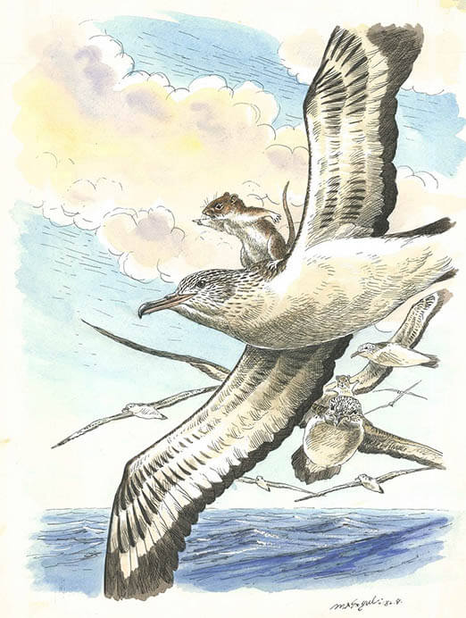 動物画家　藪内正幸絵本原画展 宇城市不知火美術館-2