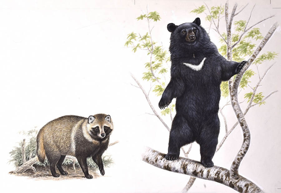 動物画家　藪内正幸絵本原画展 宇城市不知火美術館-1