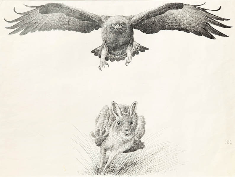 動物画家　藪内正幸絵本原画展 宇城市不知火美術館-3