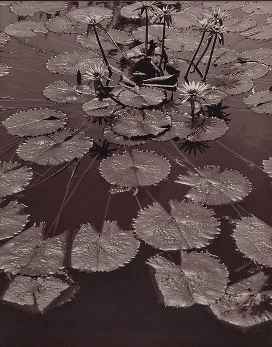 河野浅八写真展 宇城市不知火美術館-2