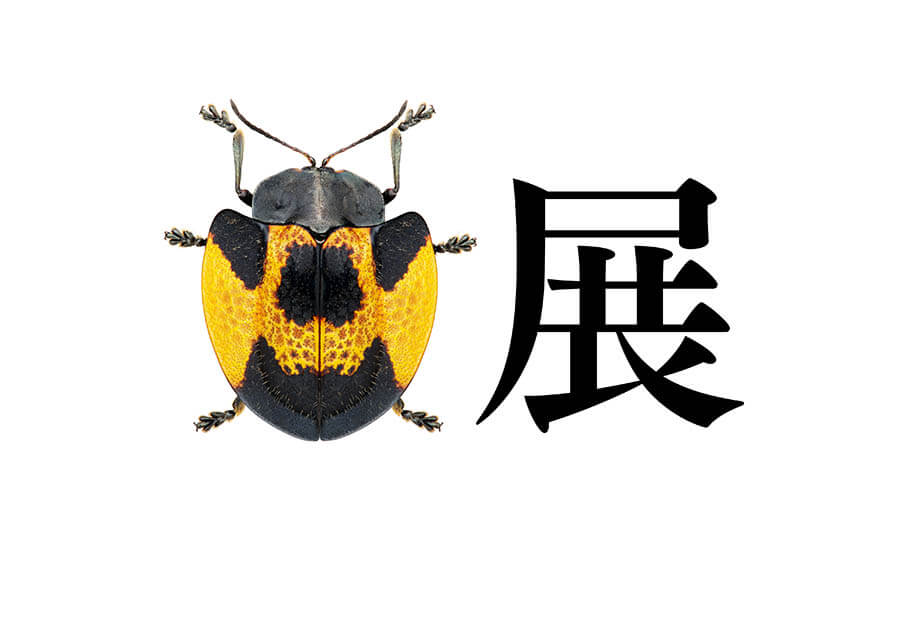 企画展「虫展 －デザインのお手本－」 21_21 DESIGN SIGHT-1