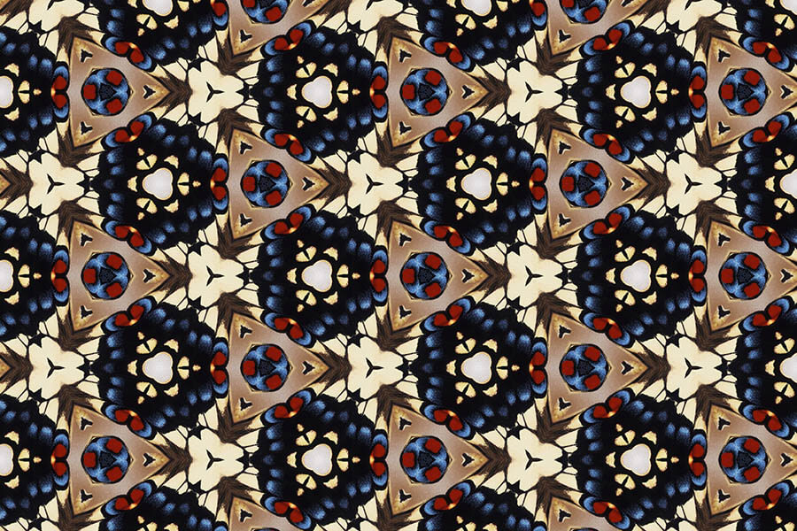 企画展「虫展 －デザインのお手本－」 21_21 DESIGN SIGHT-8