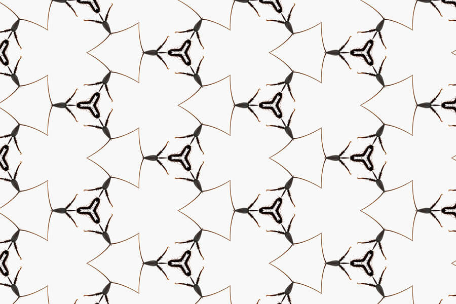 企画展「虫展 －デザインのお手本－」 21_21 DESIGN SIGHT-9