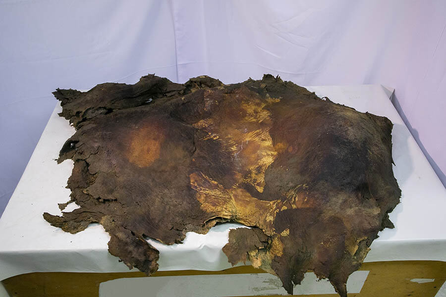 マンモス展 日本科学未来館-3