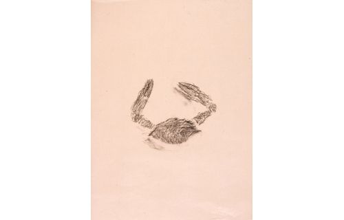 富士ゼロックス版画コレクション×横浜美術館　複製技術と美術家たち　－ピカソからウォーホルまで 横浜美術館-6