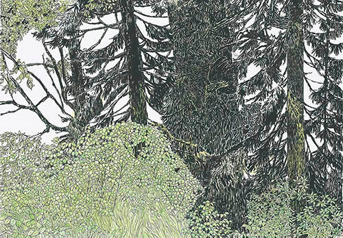 安野光雅展 絵本とデザインの仕事 平塚市美術館-7