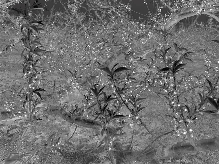 瀬戸正人写真展「旅しないカメラ・・・まだ見ぬ、もう1枚の写真を求めて！」 入江泰吉記念奈良市写真美術館-3