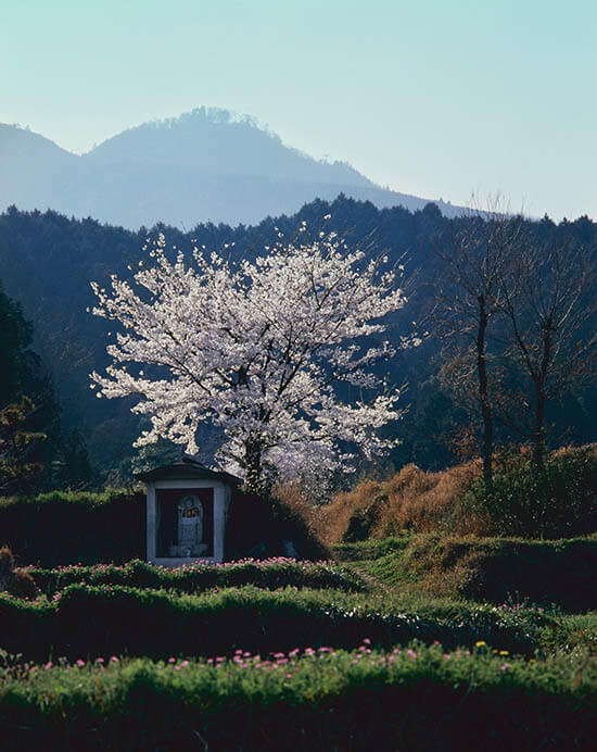 入江泰吉「祈り」展 入江泰吉記念奈良市写真美術館-2