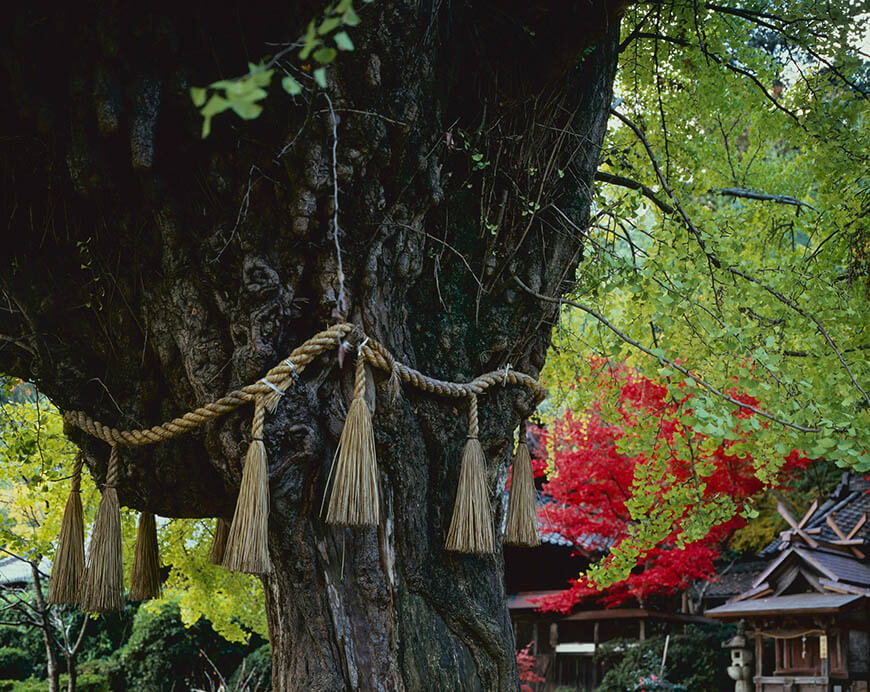 入江泰吉「祈り」展 入江泰吉記念奈良市写真美術館-4