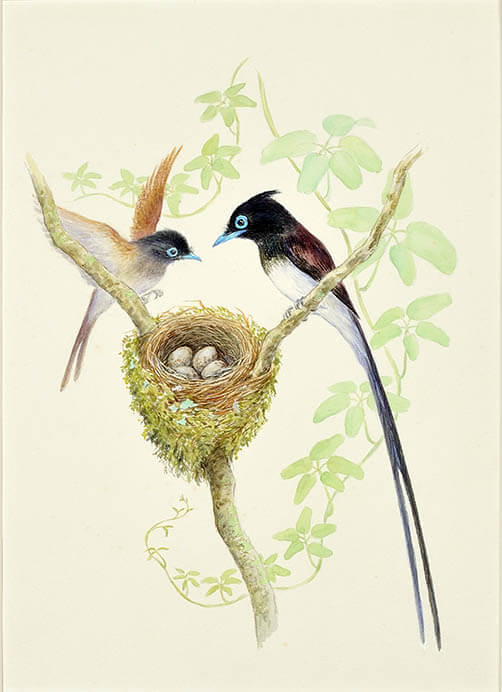 鈴木まもる展 「鳥の巣World」 中村屋サロン美術館-2