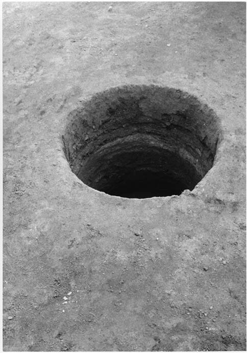 DECODE/出来事と記録－ポスト工業化社会の美術 埼玉県立近代美術館-2