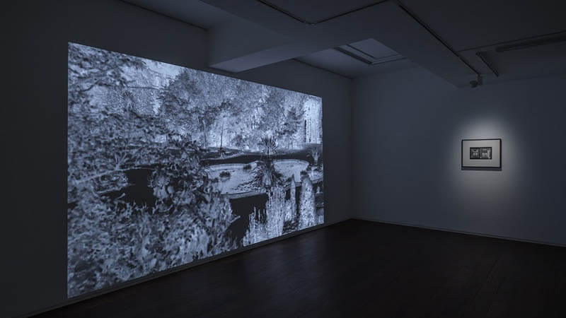 MOTアニュアル2019 Echo after Echo：仮の声、新しい影 東京都現代美術館-6