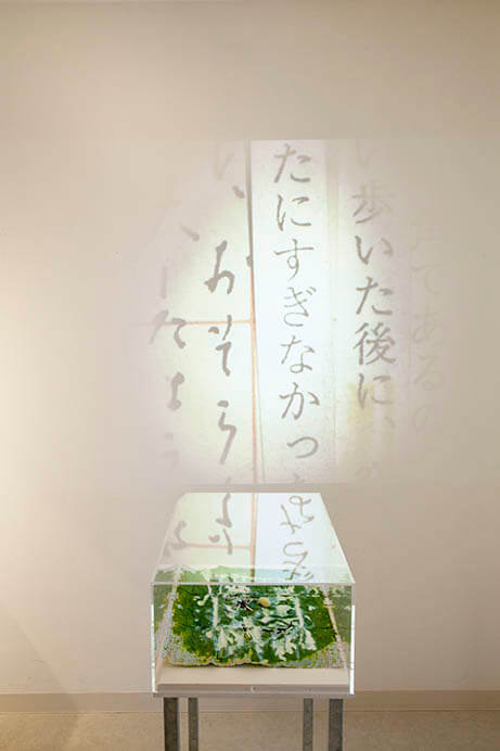 MOTアニュアル2019 Echo after Echo：仮の声、新しい影 東京都現代美術館-9