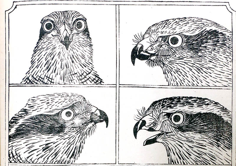  浮世絵　動物探検隊！ 那珂川町馬頭広重美術館-2