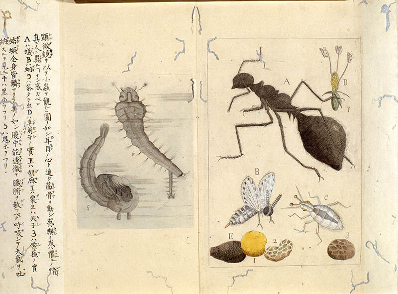 書物にみる海外交流の歴史　～本が開いた異国の扉～ 静嘉堂文庫美術館（静嘉堂＠丸の内）-3