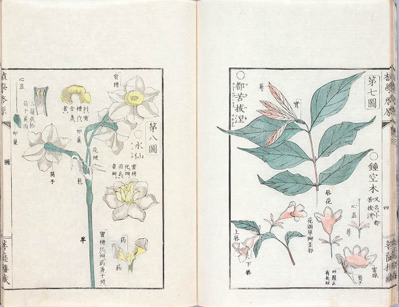 書物にみる海外交流の歴史　～本が開いた異国の扉～ 静嘉堂文庫美術館（静嘉堂＠丸の内）-8