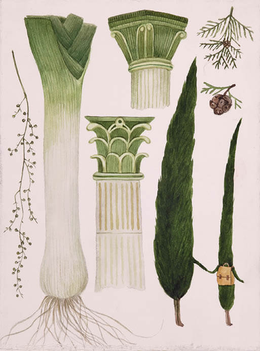 2019 イタリア・ボローニャ国際絵本原画展 太田市美術館・図書館-3