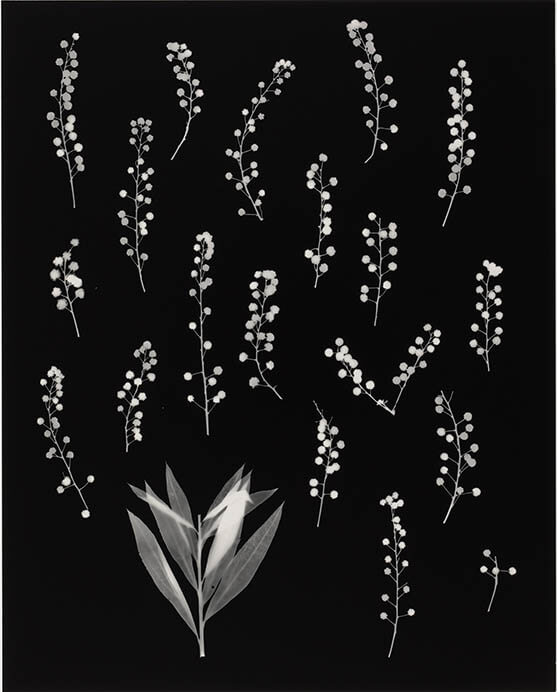  長島有里枝×竹村京「まえ と いま」  群馬県立近代美術館-1