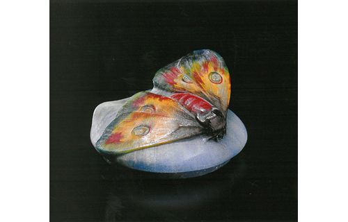 企画展「華麗なるガラス工芸の世界―ヴェネツィアから現代まで」 平塚市美術館-5