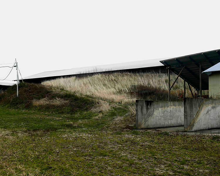 話しているのは誰？ 現代美術に潜む文学 国立新美術館-2