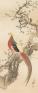 いろトリどり - 描かれた鳥たち 嵯峨嵐山文華館-1