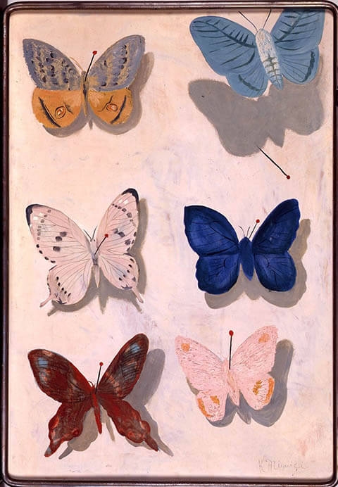 まぼろしミギシとともに mima 北海道立三岸好太郎美術館-1