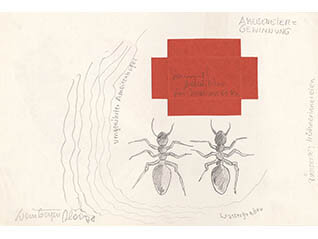 ロイス・ワインバーガー展　見える自然 見えない自然