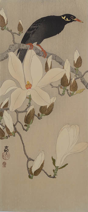 美術の森でバードウォッチング 展 海の見える杜美術館-2