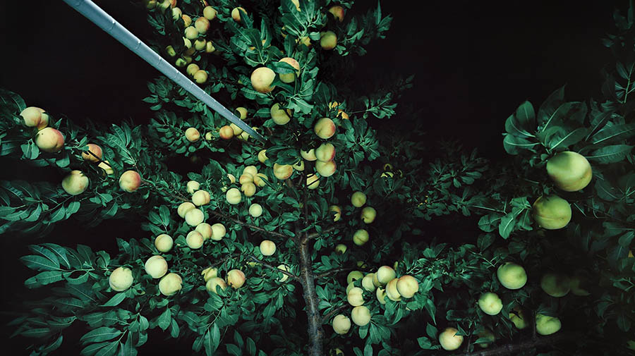 やなぎみわ展　神話機械 福島県立美術館-2