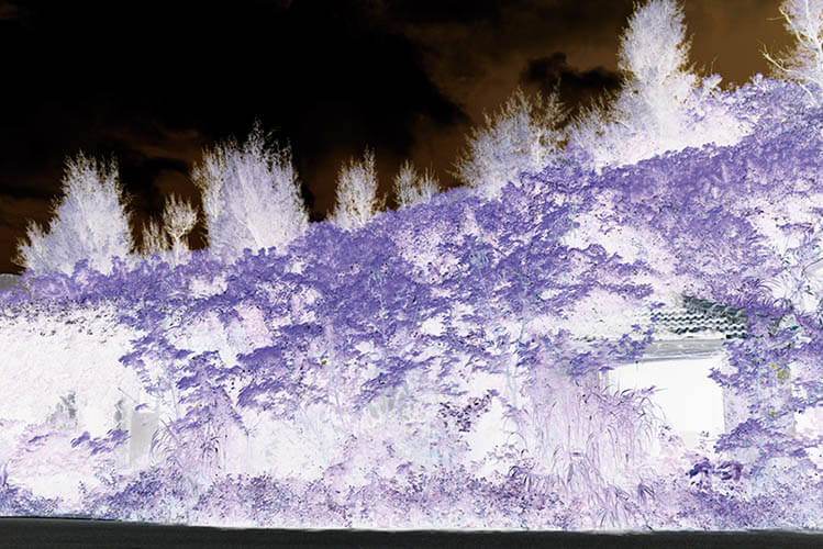 作家と現在 ARTISTS TODAY 沖縄県立博物館・美術館（おきみゅー）-3