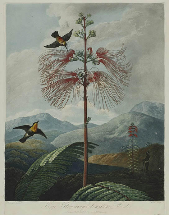 線の迷宮〈ラビリンス〉Ⅲ 齋藤芽生とフローラの神殿 目黒区美術館-5