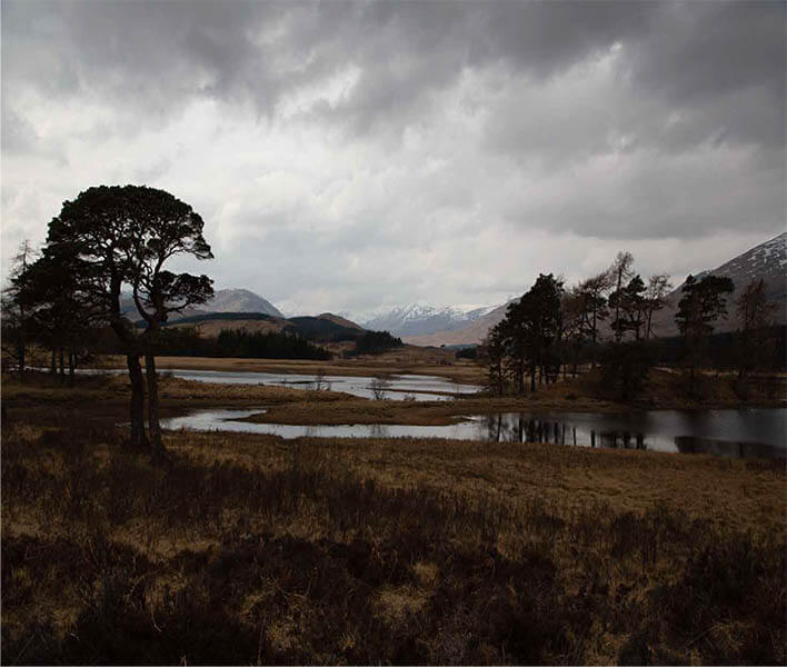 企画展「風景の科学展　芸術と科学の融合」 国立科学博物館-1