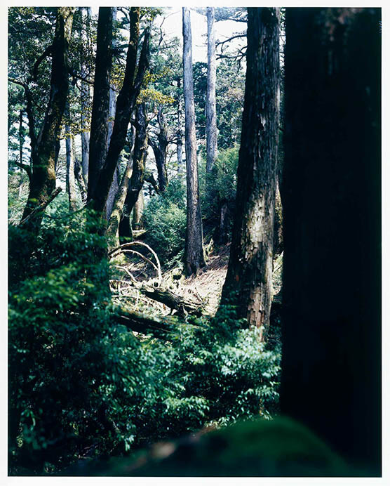 企画展「風景の科学展　芸術と科学の融合」 国立科学博物館-2