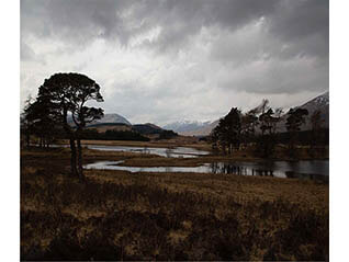 企画展「風景の科学展　芸術と科学の融合」