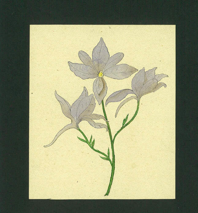 アール・ヌーヴォーの花園　−ミュシャとラリック　花々と植物のかたち− 箱根ラリック美術館-8