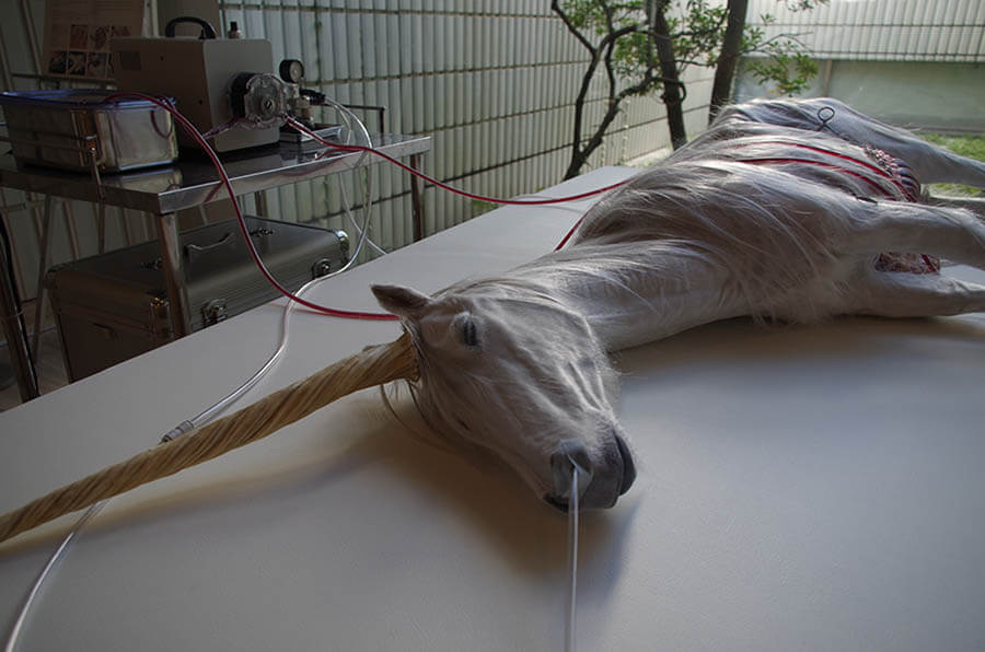 リニューアルオープン特別企画2「セカンド・フラッシュ」  岐阜県美術館-2