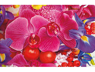 タグチ・アートコレクション 球体のパレット