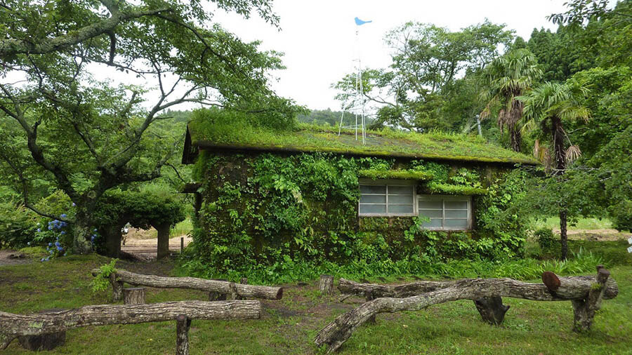 サイトスペシフィック・アート～民俗学者・宮本常一に学ぶ～ 市原湖畔美術館-4