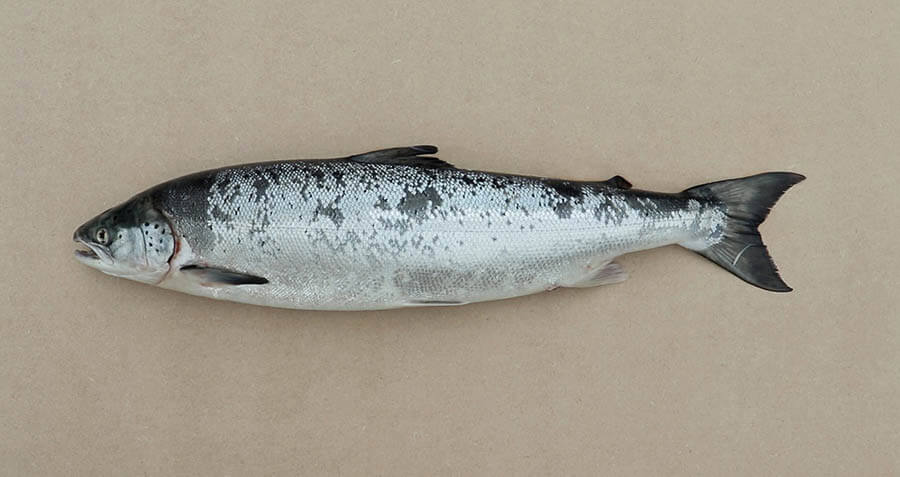 サイトスペシフィック・アート～民俗学者・宮本常一に学ぶ～ 市原湖畔美術館-6