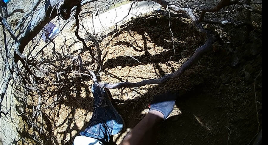 サイトスペシフィック・アート～民俗学者・宮本常一に学ぶ～ 市原湖畔美術館-7